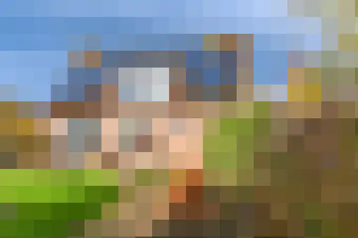 't Ikenhiem 5 Gorredijk thumbnail 12