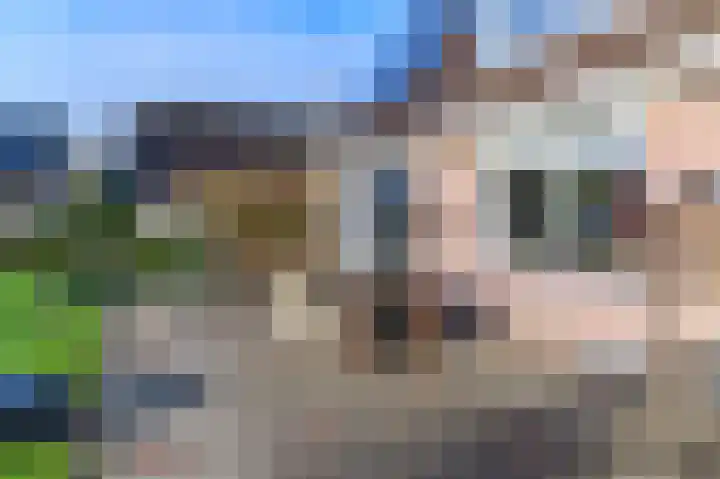 't Ikenhiem 5 Gorredijk thumbnail 14