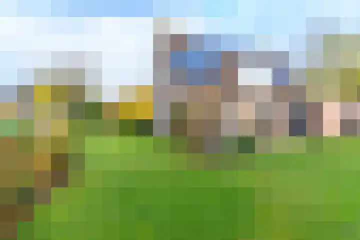 't Ikenhiem 5 Gorredijk thumbnail 15