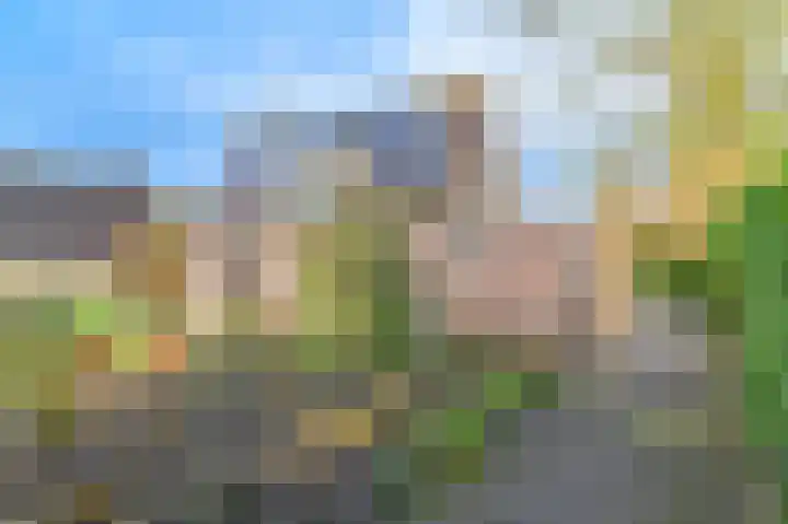 't Ikenhiem 5 Gorredijk thumbnail 18