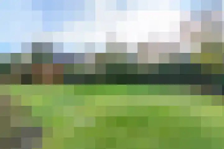 't Ikenhiem 5 Gorredijk thumbnail 20