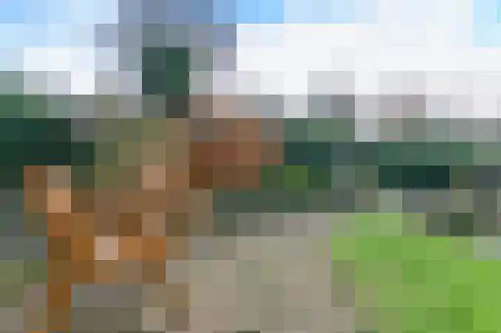 't Ikenhiem 5 Gorredijk thumbnail 21