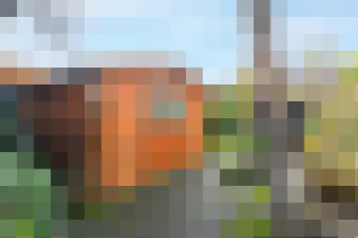 't Ikenhiem 5 Gorredijk thumbnail 22