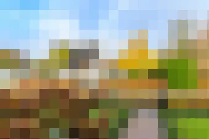 't Ikenhiem 5 Gorredijk thumbnail 24