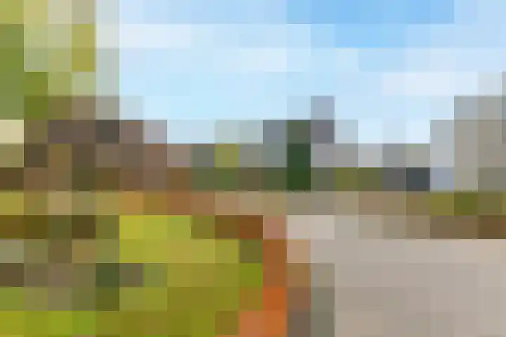 't Ikenhiem 5 Gorredijk thumbnail 25