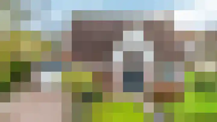 't Ikenhiem 5 Gorredijk thumbnail 26