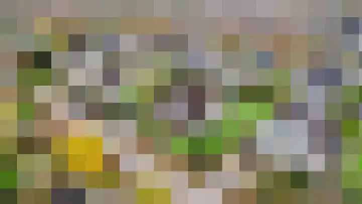 't Ikenhiem 5 Gorredijk thumbnail 27