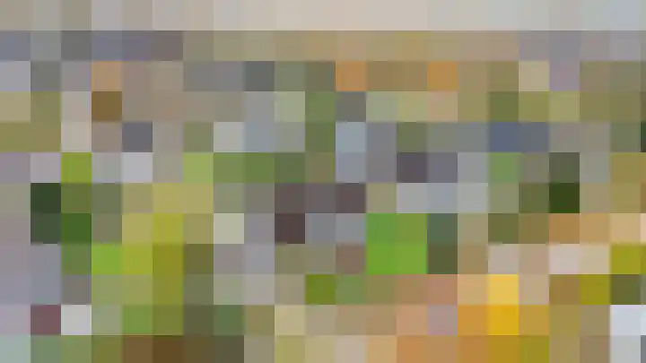 't Ikenhiem 5 Gorredijk thumbnail 28