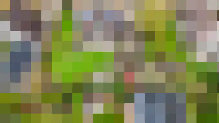 't Ikenhiem 5 Gorredijk thumbnail 29