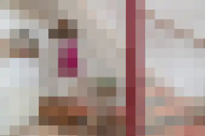 't Ikenhiem 5 Gorredijk thumbnail 33