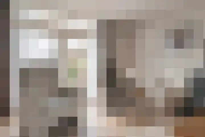 't Ikenhiem 5 Gorredijk thumbnail 38