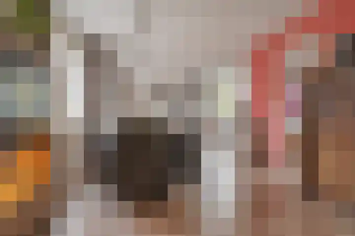 't Ikenhiem 5 Gorredijk thumbnail 45