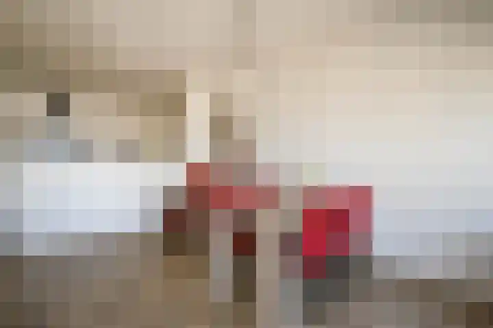 't Ingse Hof 33 Bergambacht thumbnail 16