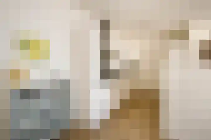 't Ingse Hof 33 Bergambacht thumbnail 17
