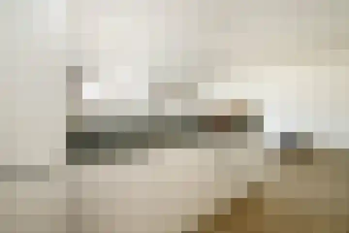 't Ingse Hof 33 Bergambacht thumbnail 18