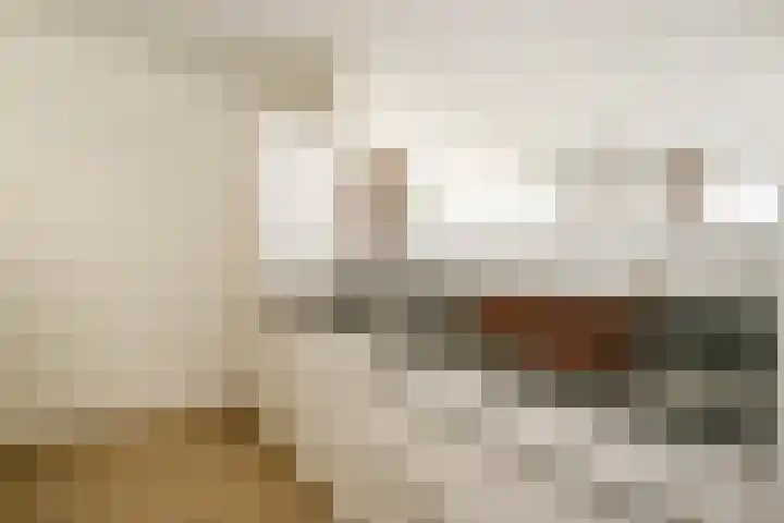 't Ingse Hof 33 Bergambacht thumbnail 19