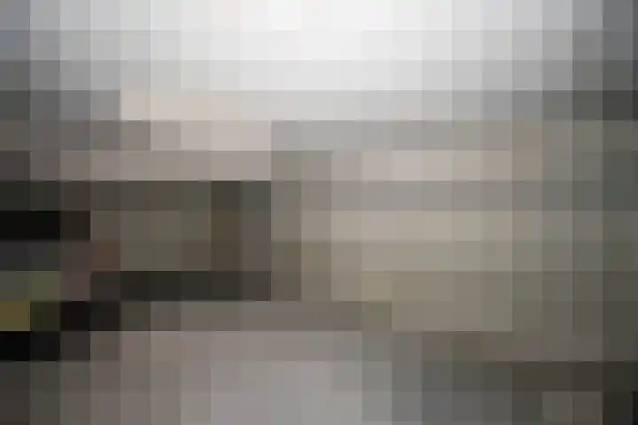 't Ingse Hof 33 Bergambacht thumbnail 28