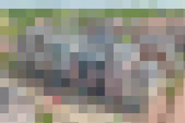 't Ingse Hof 33 Bergambacht thumbnail 32