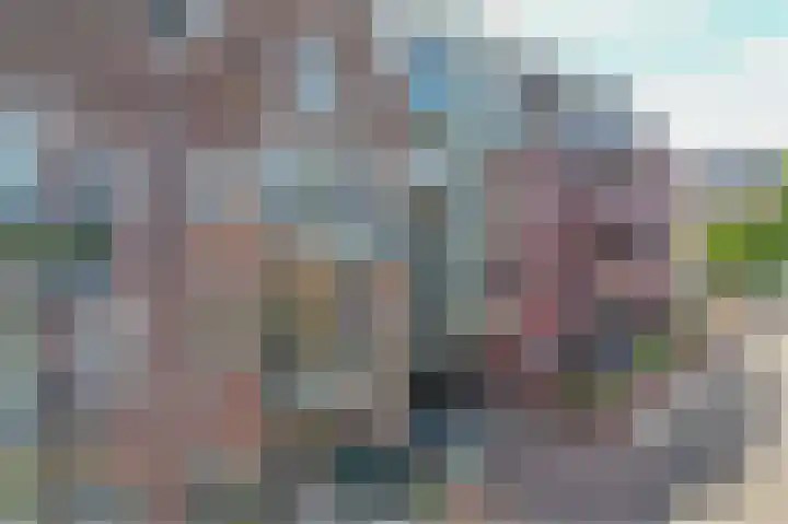 't Ingse Hof 33 Bergambacht thumbnail 37