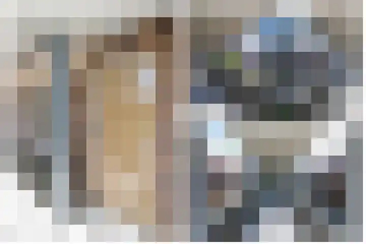't Ingse Hof 33 Bergambacht thumbnail 7