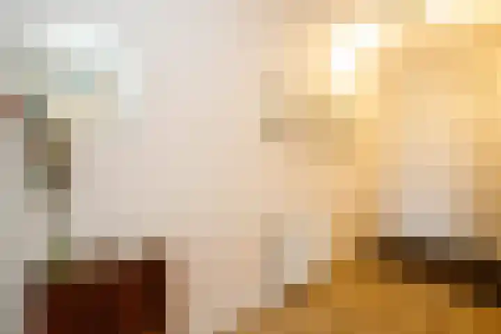 't Ingse Hof 33 Bergambacht thumbnail 8