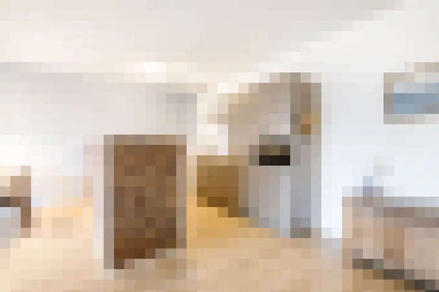 't Ingse Hof 35 Bergambacht thumbnail 15