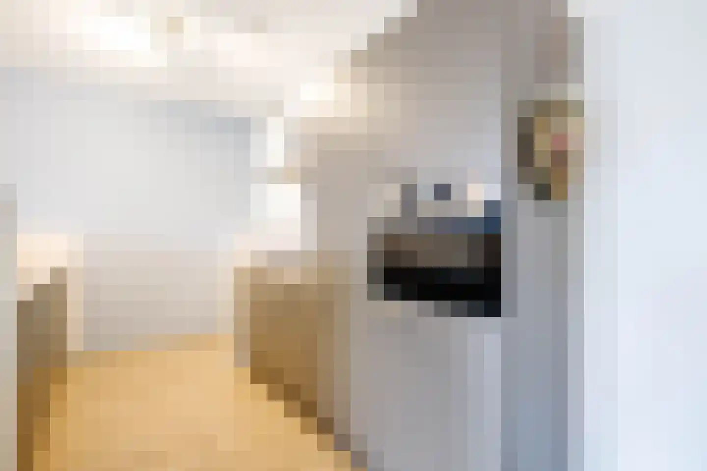 't Ingse Hof 35 Bergambacht thumbnail 17