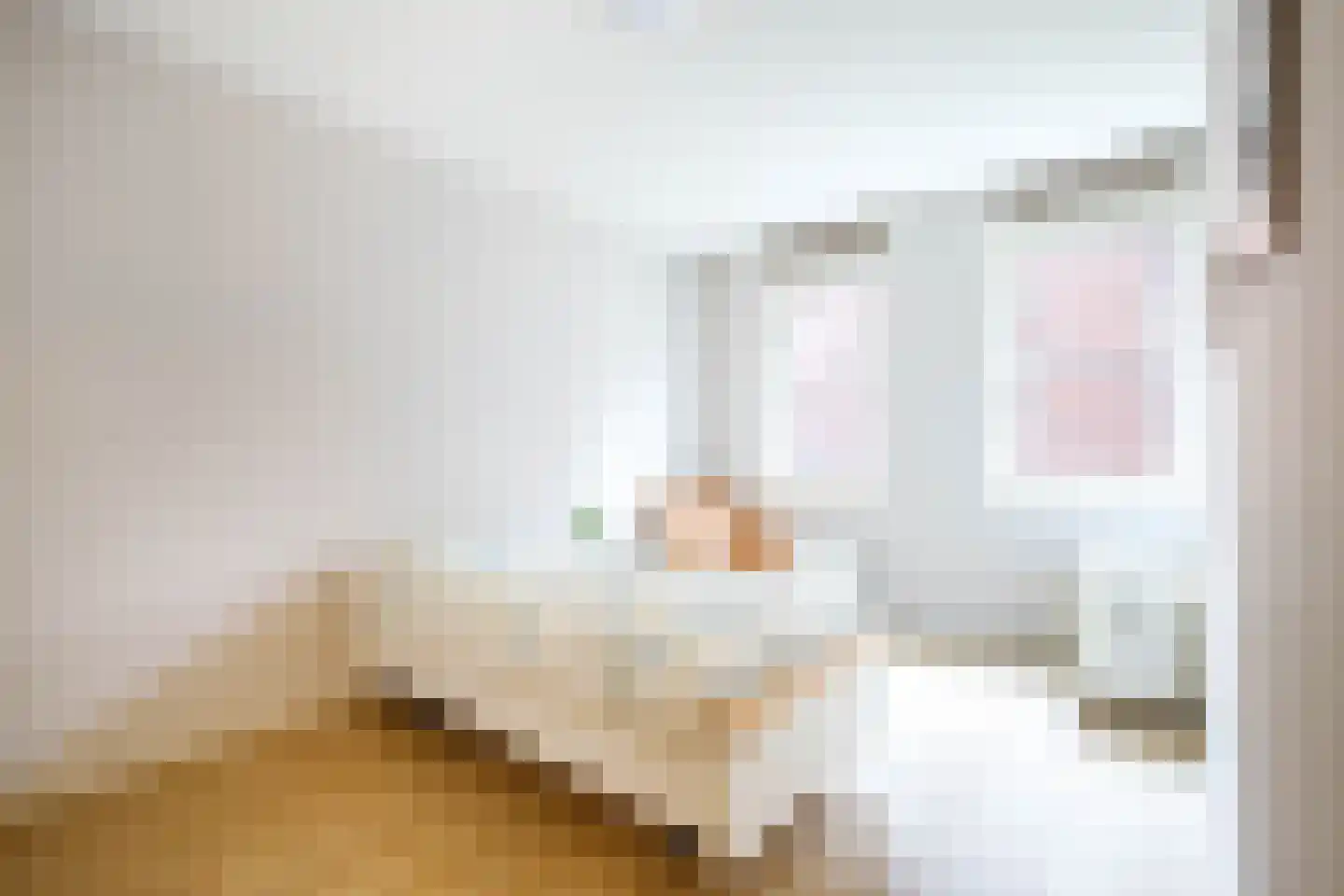 't Ingse Hof 35 Bergambacht thumbnail 25