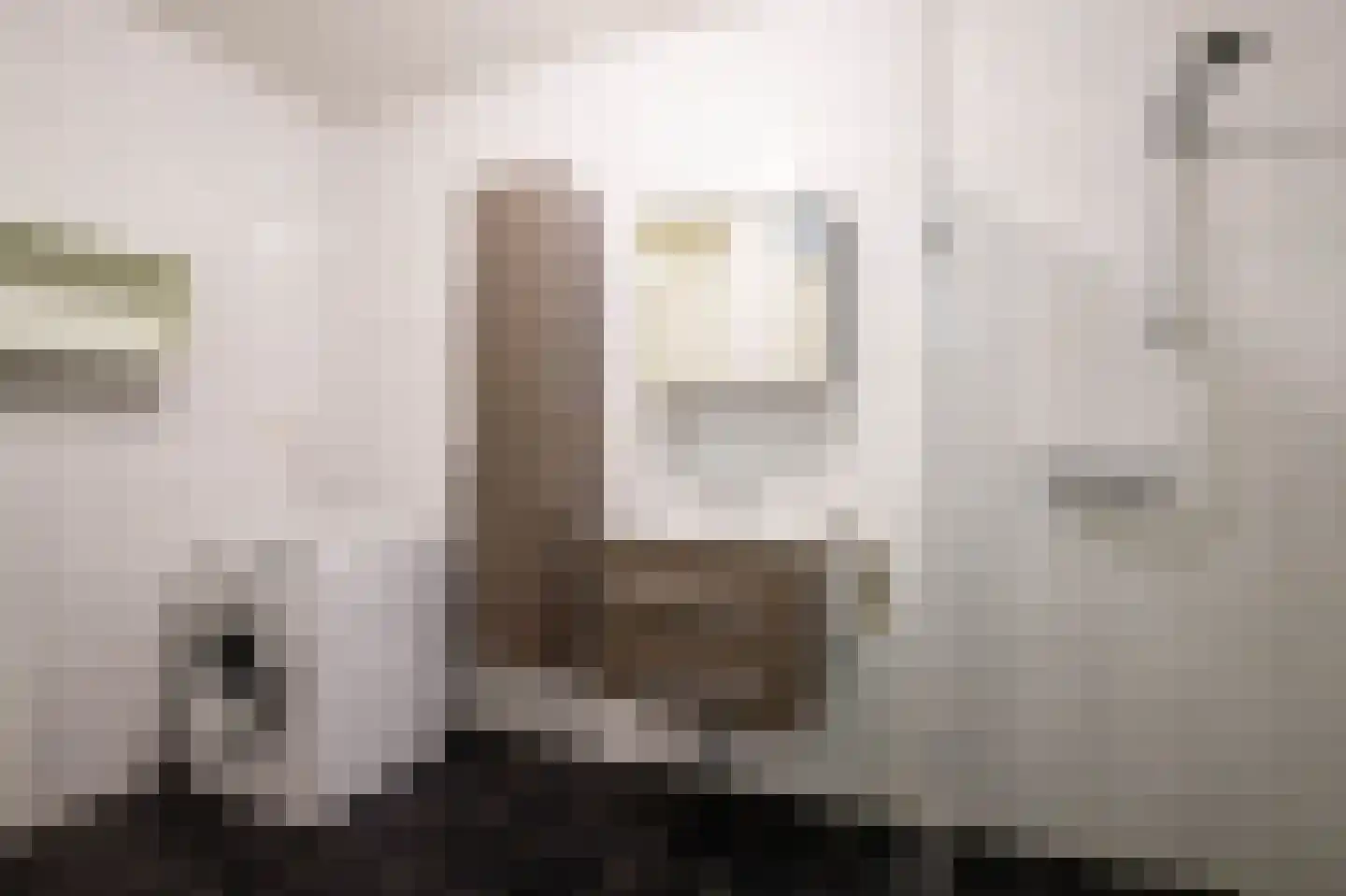 't Ingse Hof 35 Bergambacht thumbnail 27