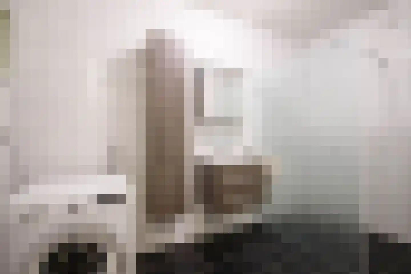 't Ingse Hof 35 Bergambacht thumbnail 28