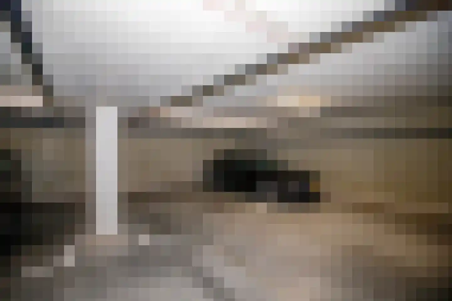 't Ingse Hof 35 Bergambacht thumbnail 32