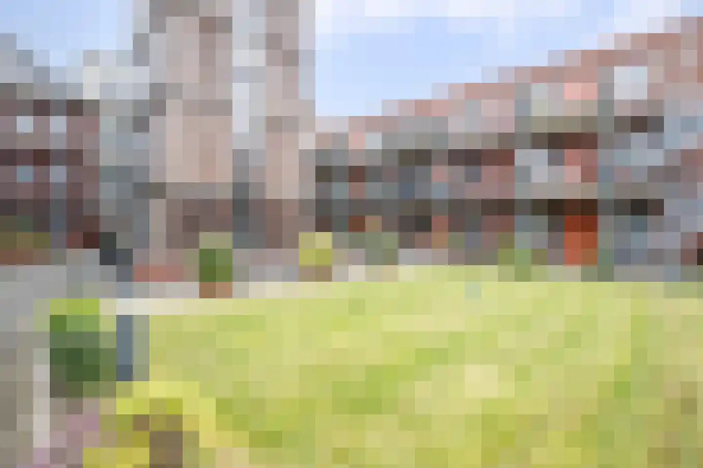 't Ingse Hof 35 Bergambacht thumbnail 35