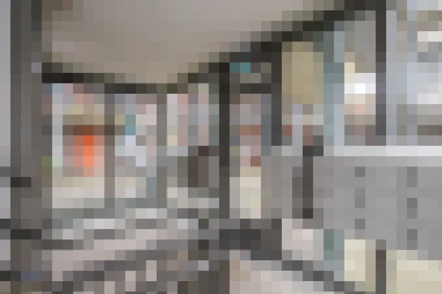 't Ingse Hof 35 Bergambacht thumbnail 6
