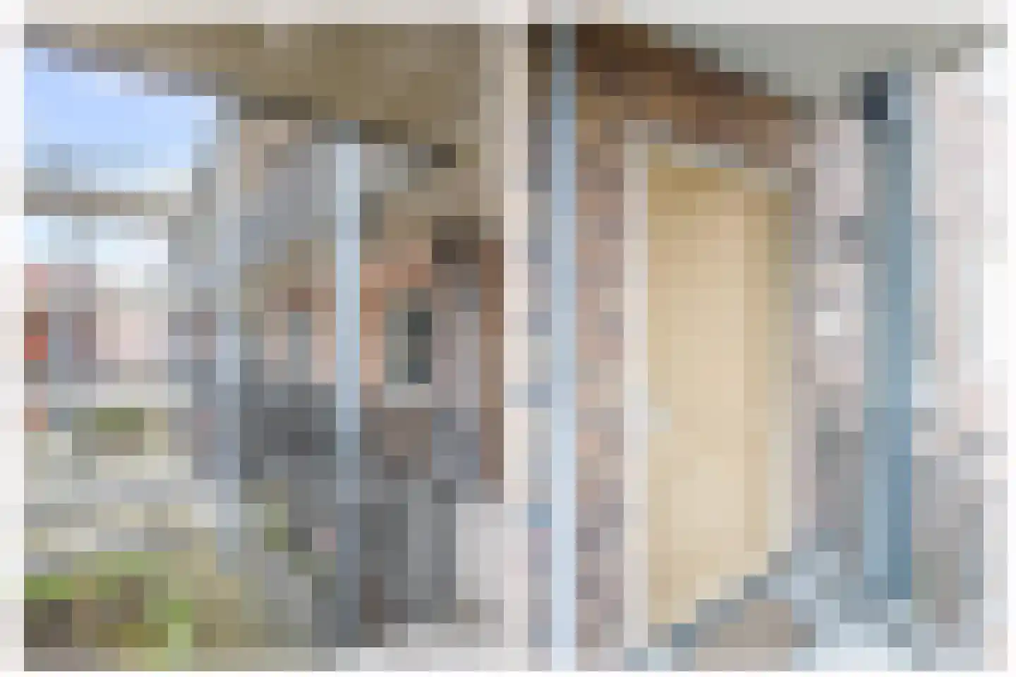't Ingse Hof 35 Bergambacht thumbnail 8