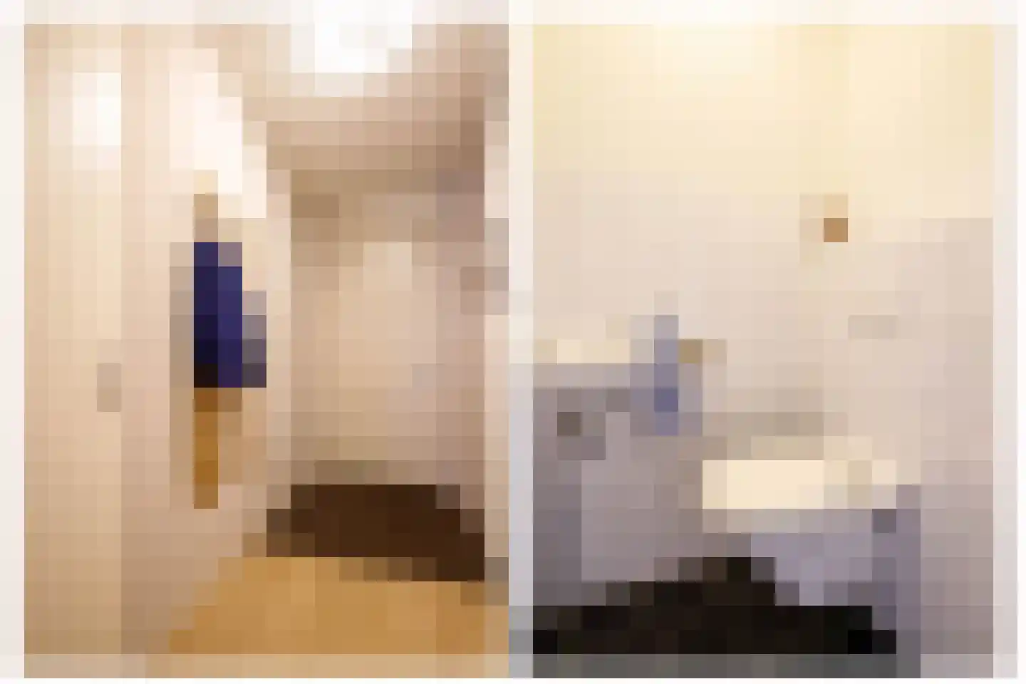 't Ingse Hof 35 Bergambacht thumbnail 9