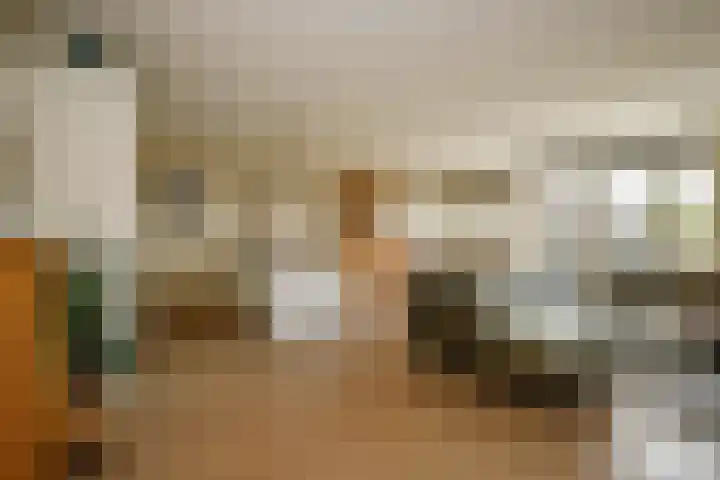 't Ingse Hof 55 Bergambacht thumbnail 10
