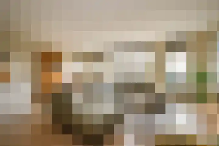 't Ingse Hof 55 Bergambacht thumbnail 11