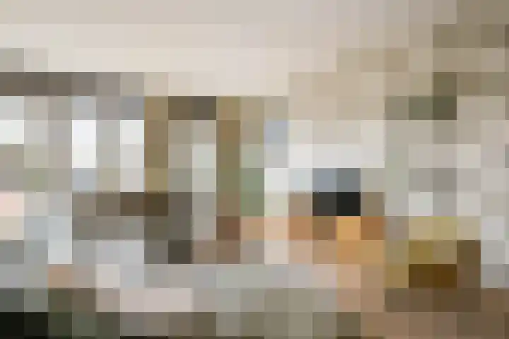 't Ingse Hof 55 Bergambacht thumbnail 12