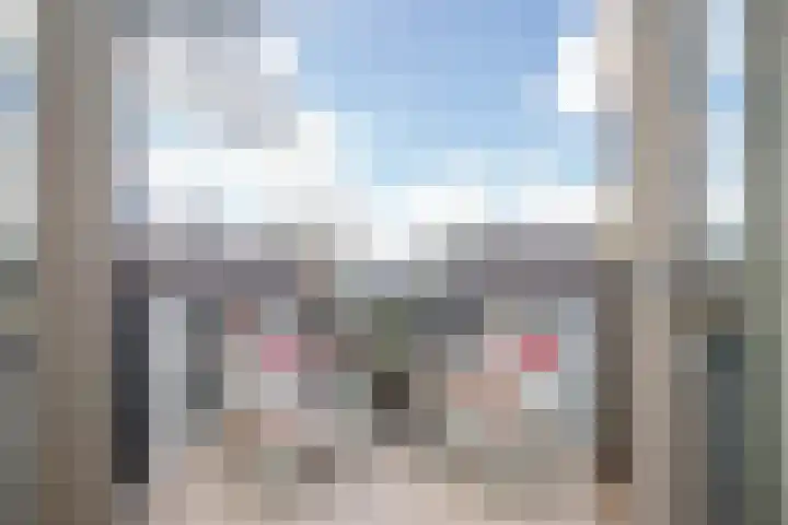 't Ingse Hof 55 Bergambacht thumbnail 14