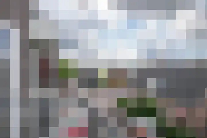 't Ingse Hof 55 Bergambacht thumbnail 15