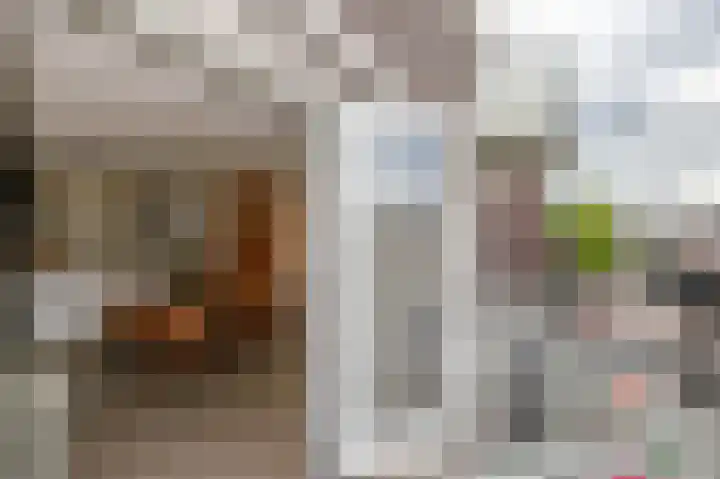 't Ingse Hof 55 Bergambacht thumbnail 16