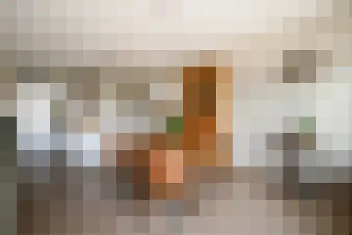 't Ingse Hof 55 Bergambacht thumbnail 17