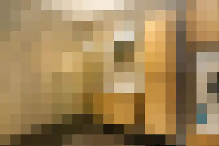 't Ingse Hof 55 Bergambacht thumbnail 21