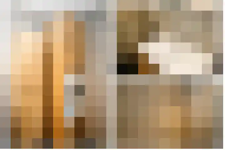 't Ingse Hof 55 Bergambacht thumbnail 22