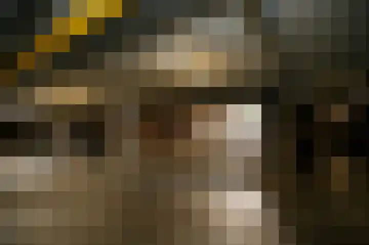 't Ingse Hof 55 Bergambacht thumbnail 26