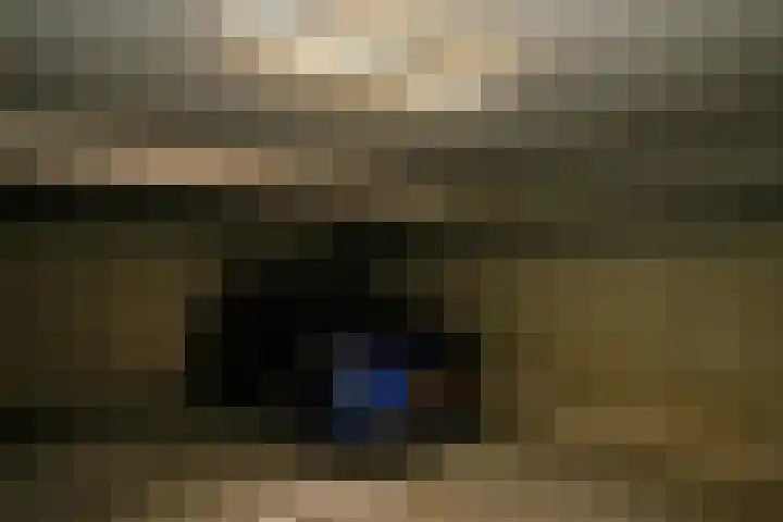 't Ingse Hof 55 Bergambacht thumbnail 27
