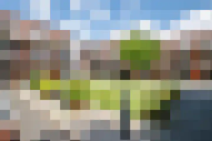 't Ingse Hof 55 Bergambacht thumbnail 28