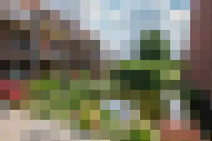 't Ingse Hof 55 Bergambacht thumbnail 29
