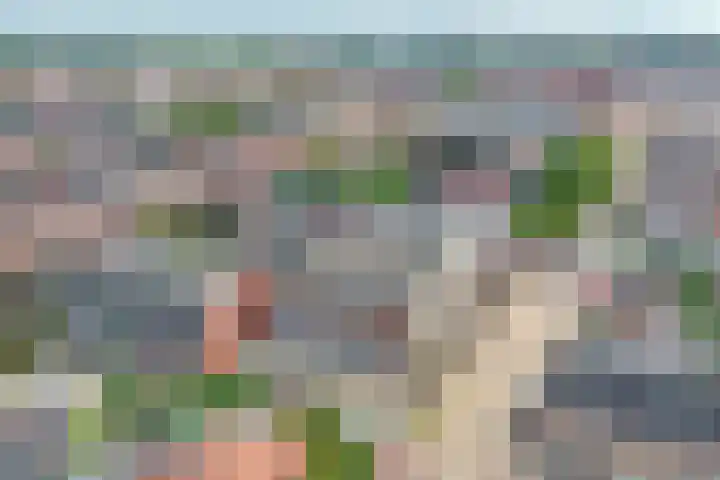 't Ingse Hof 55 Bergambacht thumbnail 32