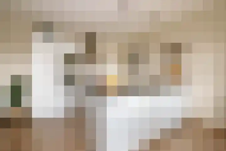 't Ingse Hof 55 Bergambacht thumbnail 4